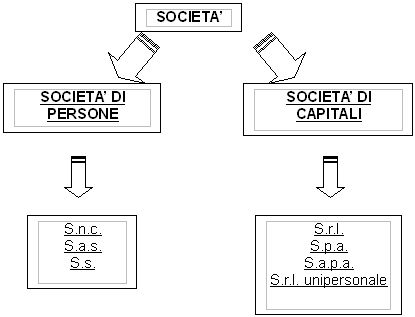 L'azienda e le sue forme 1 societa e forme societarie